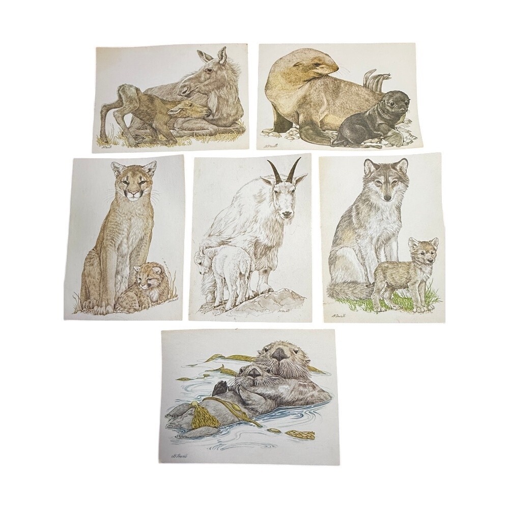 Wildlife Art Prints Mother Baby Animal Illustrations Vintage Cards Current, Inc‎
